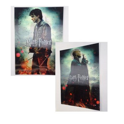 Lot 256 - HARRY POTTER AND THE DEATHLY HALLOWS: PART 2...