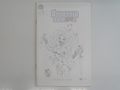 Lot 206 - ASSASSINS SCHOOL, ISSUE ZERO, CODENAME:...
