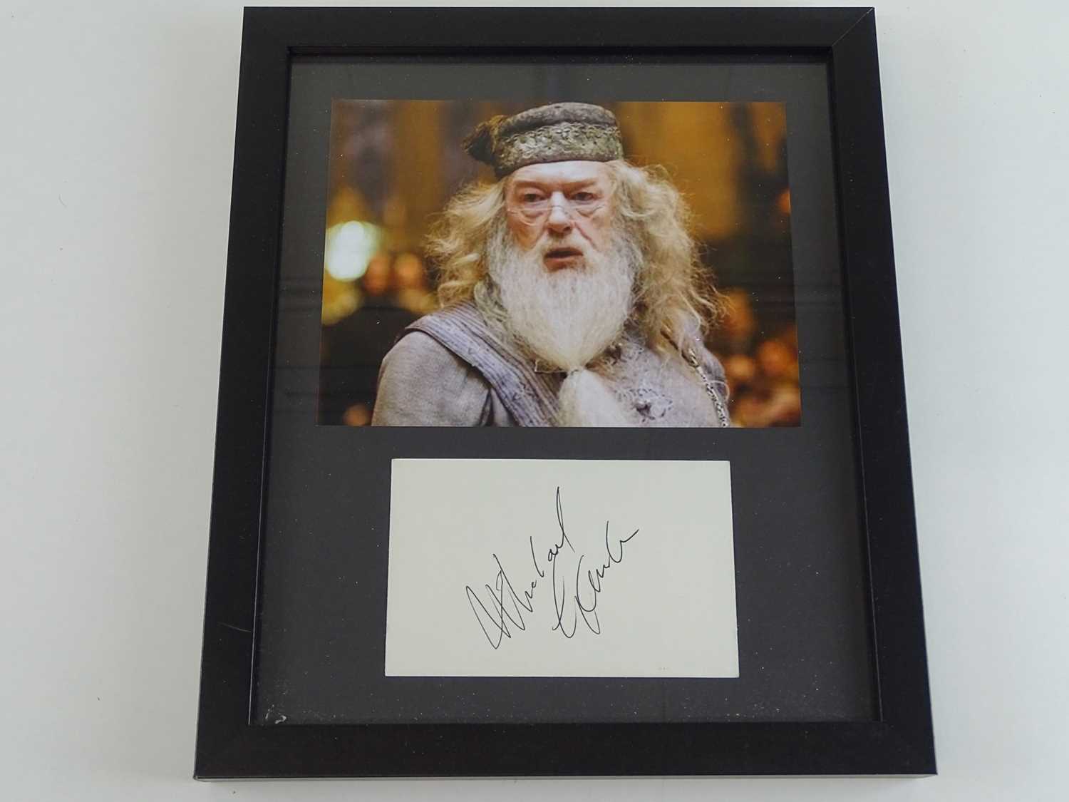 Lot 199 - HARRY POTTER: A framed and glazed MICHAEL...