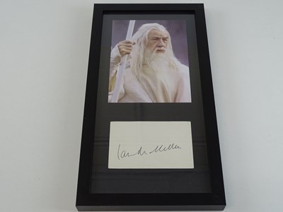 Lot 213 - LORD OF THE RINGS: A framed and glazed IAN...