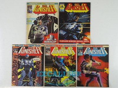 Lot 246 - PUNISHER #1, 2, 3, 4, 5 - (5 in Lot) - (1989 -...