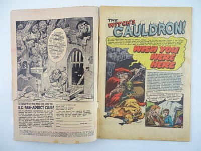 Lot 306 - HAUNT OF FEAR - (1953 - EC) - Pre-Code Horror -...