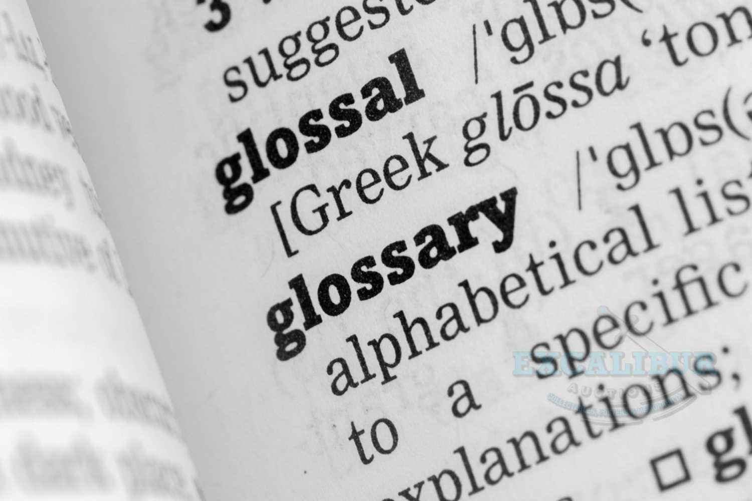 Lot 1 - Glossary of grading and terms used