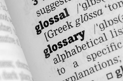 Lot 1 - Glossary - Glossary - This entire auction is...