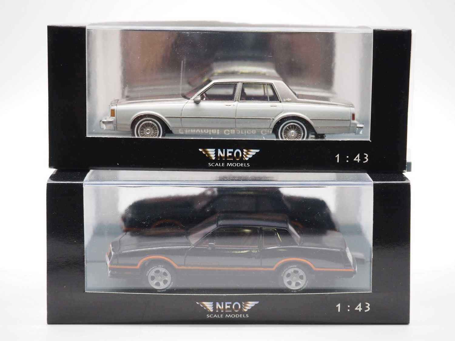 Lot 202 - A pair of 1:43 scale hand built resin models...