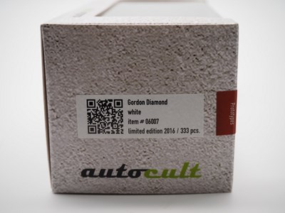 Lot 209 - A pair of 1:43 scale hand built resin models...