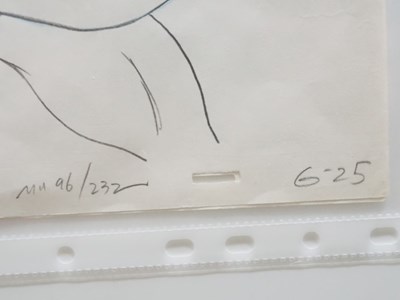 Lot 384 - A selection of mixed HE-MAN related animation...