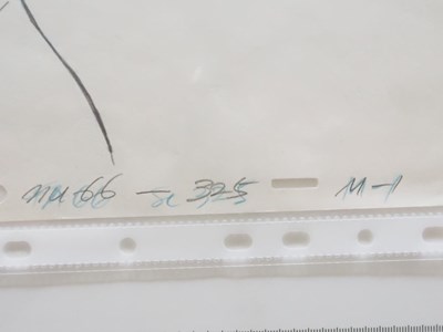 Lot 384 - A selection of mixed HE-MAN related animation...