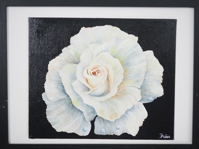 Lot 62 - Dawn Mobbs 'WHITE ROSE' - acrylic on board -...