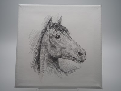 Lot 101 - Maxine Marsh 'HORSE '- pencil drawing on...