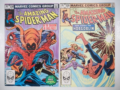 Lot 571 - AMAZING SPIDER-MAN #238 & 239 (2 in Lot) -...