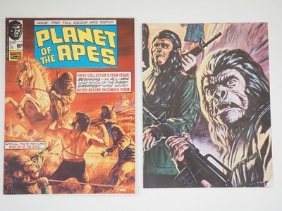 Lot 349 - PLANET OF THE APES #1 to 123 + PLANET OF THE...