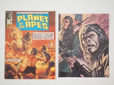 Lot 103 - PLANET OF THE APES #1 to 123 (123 in Lot) -...
