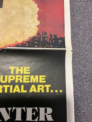 Lot 28 - A group of four martial arts film related...