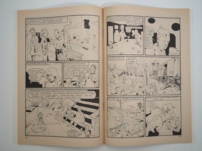 Lot 186 - FLAMING CARROT COMICS #1 (1984 -...