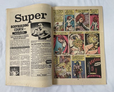 Lot 249 - CONAN THE BARBARIAN #23 & 24 - (2 in Lot) -...
