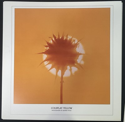 Lot 417 - A collection of COLDPLAY record design...