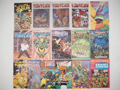 Lot 168 - TEENAGE MUTANT NINJA TURTLES LOT (16 in Lot) -...