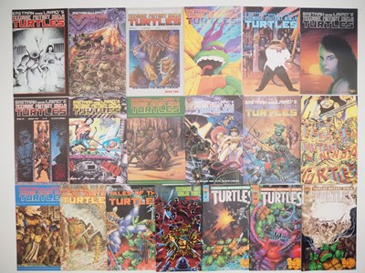 Lot 223 - TEENAGE MUTANT NINJA TURTLES LOT (19 in Lot) -...