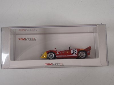 Lot 338 - A pair of TSM MODEL 1:43 scale Endurance...