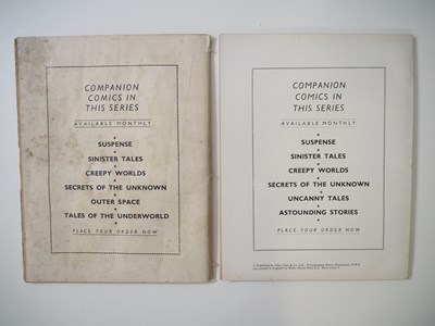 Lot 124 - AMAZING STORIES #nn (2 in Lot) - (1964/1965 -...