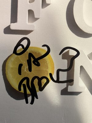 Lot 499 - IAN BROWN - The Stone Roses frontman - signed...