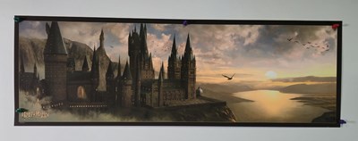 Lot 216 - A HARRY POTTER alternative movie poster...