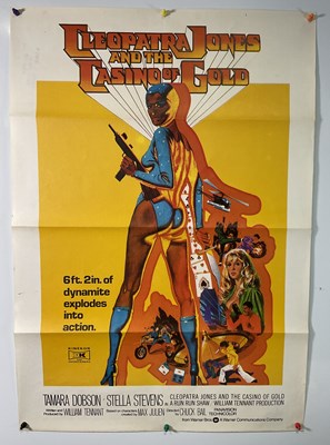 Lot 24 - A pair of South African one sheet film posters...