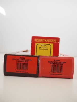 Lot 313 - A group of HORNBY OO gauge steam locos in BR...