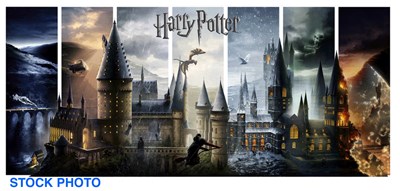 Lot 155 - HARRY POTTER - Journey Through Hogwarts by Ben...
