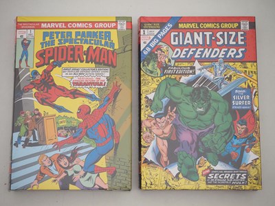 Lot 303 - BRONZE AGE OMNIBUS LOT (2 in Lot) - Includes...