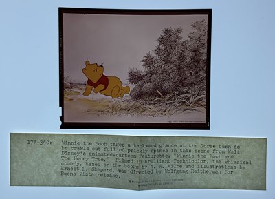 Lot 394 - WINNIE THE POOH AND THE HONEY TREE (1966) A...