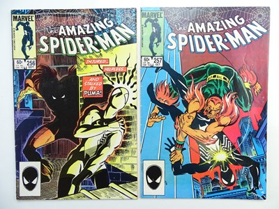 Lot 338 - AMAZING SPIDER-MAN # 256 & 257 (Group of 2) -...