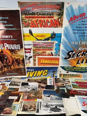 Lot 267 - WALT DISNEY - Documentary films titles - A...