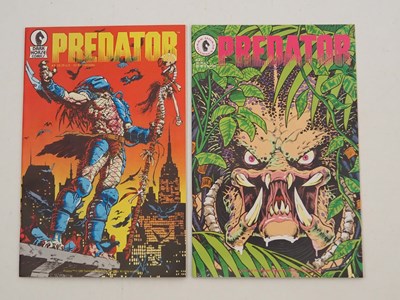 Lot 11 - PREDATOR #1 & 2 (2 in Lot) - (1989 - DARK...