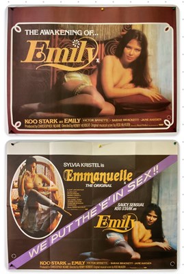 Lot 248 - A pair of sexploitation movie posters...