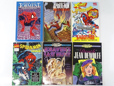 Lot 486 - SPIDER-MAN GRAPHIC NOVEL/TRADE PAPERBACK LOT...