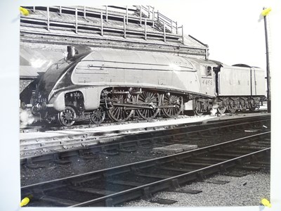 Lot 100 - A quantity of large format black/white...