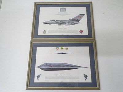 Lot 202 - A pair of framed and glazed aviation interest...